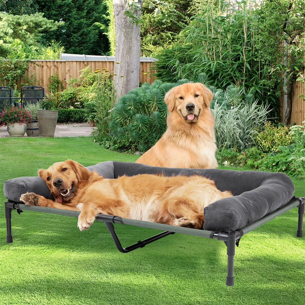 Outdoor Camping Dog Bed - Cama Elevada para Cães BINGOPAW para