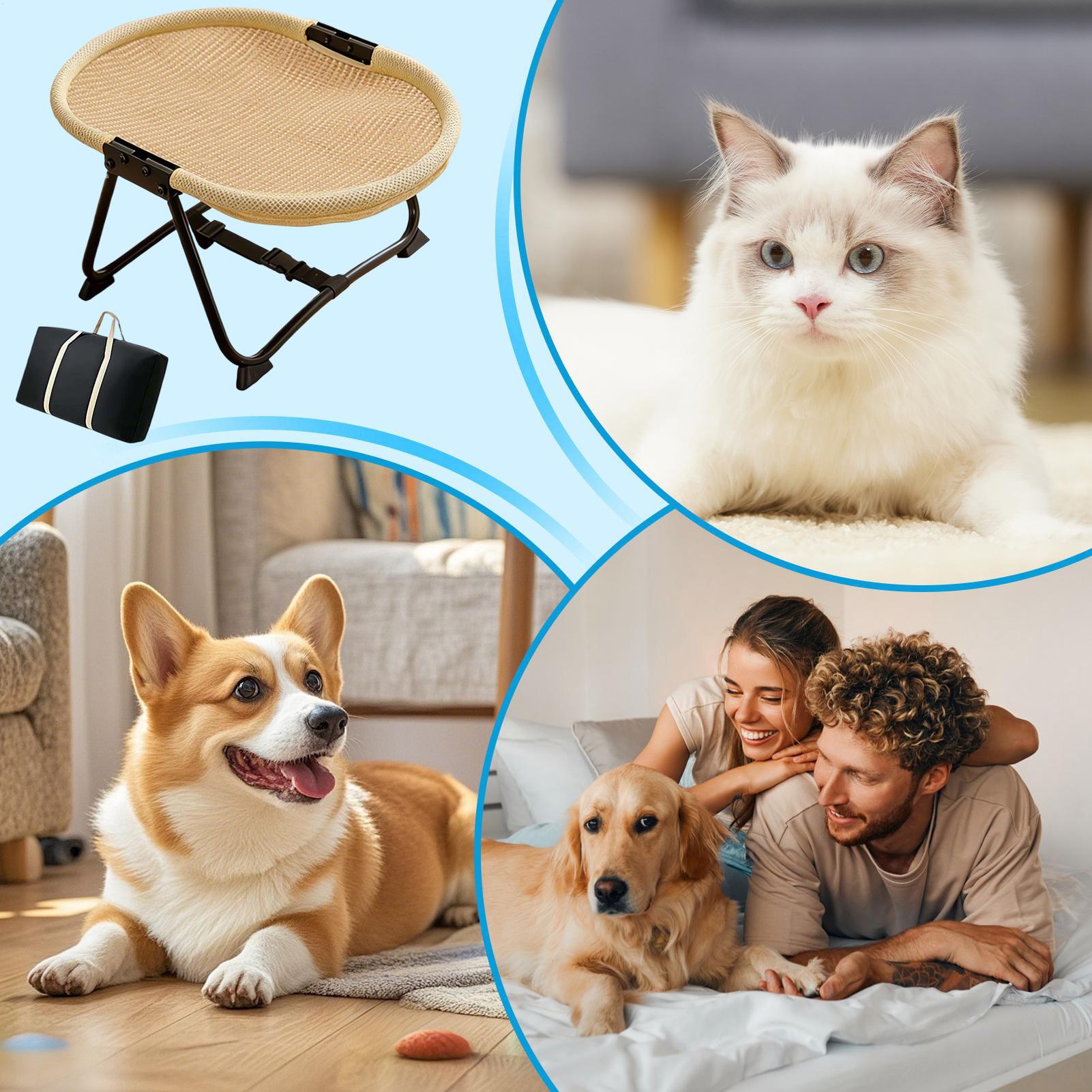 Cama Dobrável para Cães e Gato - Outdoor Camping Dog Bed avaliação e preço
