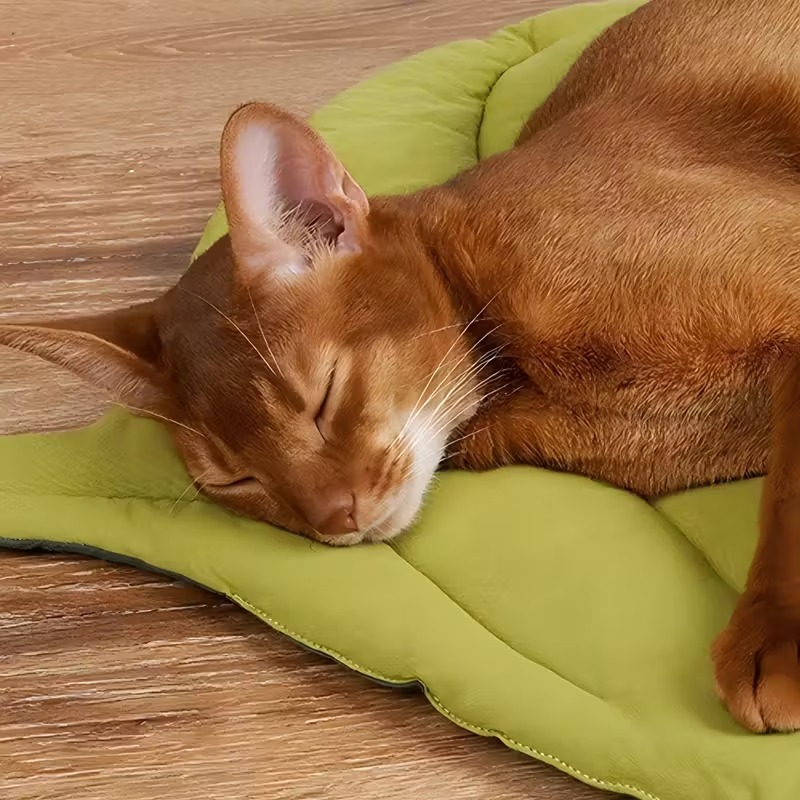 Almofada Reversível Macia para - Outdoor Camping Dog Bed avaliação e preço