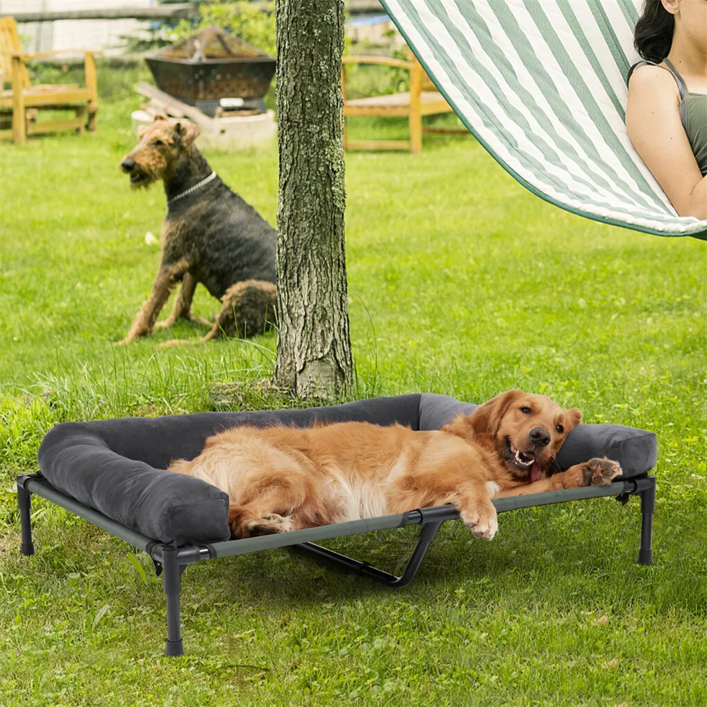 Cama Elevada para Cães BINGOPA - Outdoor Camping Dog Bed avaliação e preço