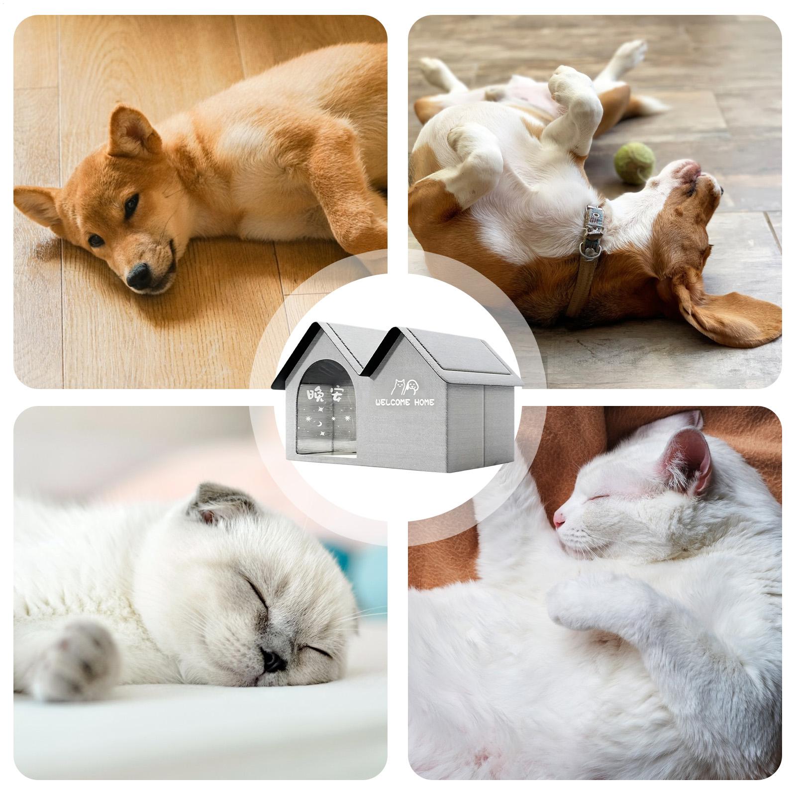 Casinha de Cachorro Isolada e  - Outdoor Camping Dog Bed avaliação e preço