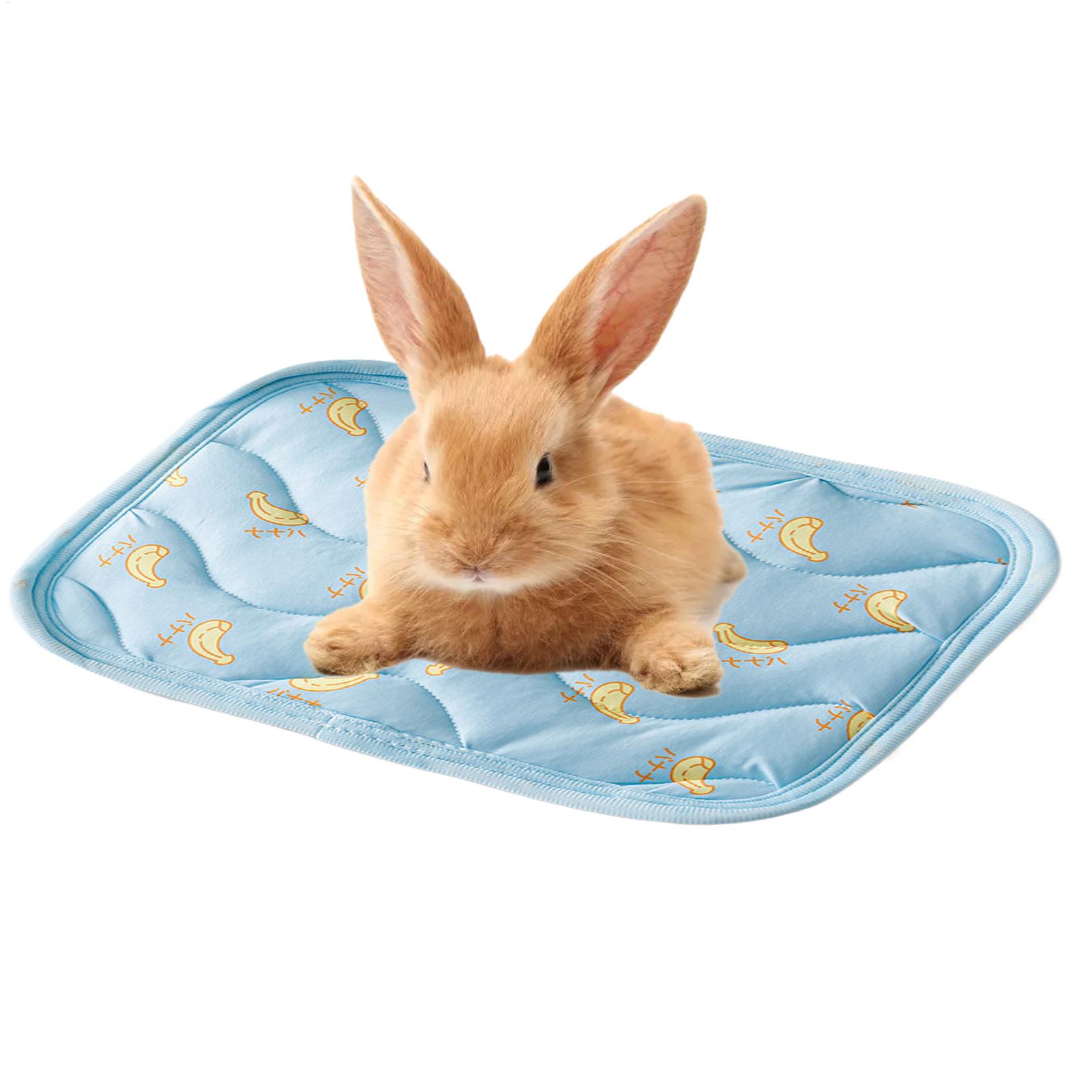 Tapete de Resfriamento Portáti - Outdoor Camping Dog Bed avaliação e preço